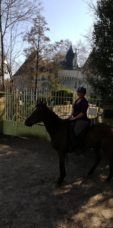 Chambre D'Hote En Vallee Du Loir - Elevage Des Rosiers Bazouges-sur-le-Loir Exteriör bild