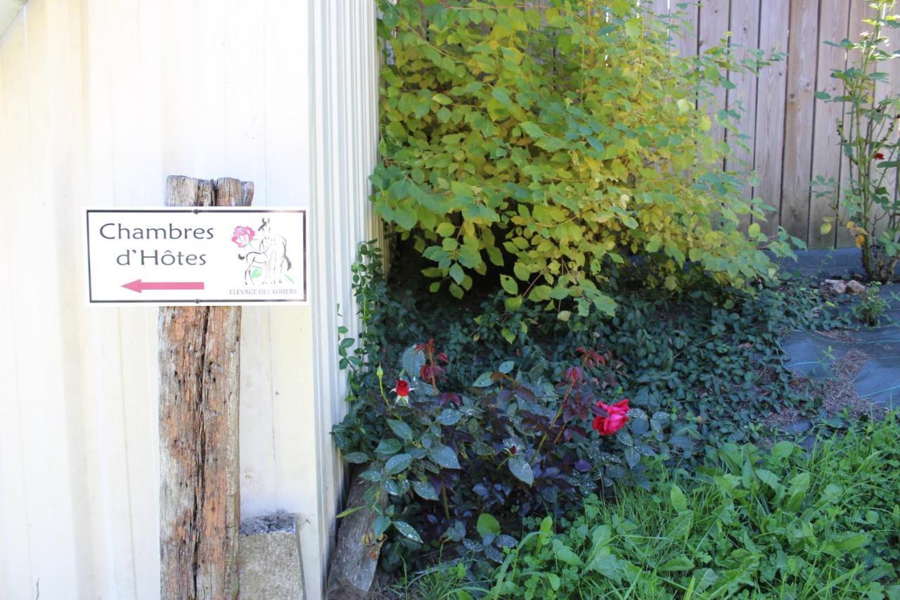 Chambre D'Hote En Vallee Du Loir - Elevage Des Rosiers Bazouges-sur-le-Loir Exteriör bild