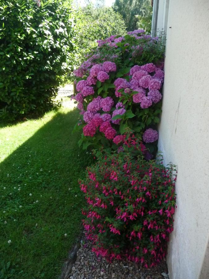 Chambre D'Hote En Vallee Du Loir - Elevage Des Rosiers Bazouges-sur-le-Loir Exteriör bild