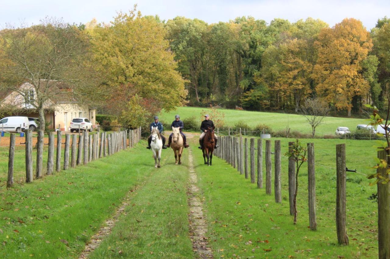 Chambre D'Hote En Vallee Du Loir - Elevage Des Rosiers Bazouges-sur-le-Loir Exteriör bild
