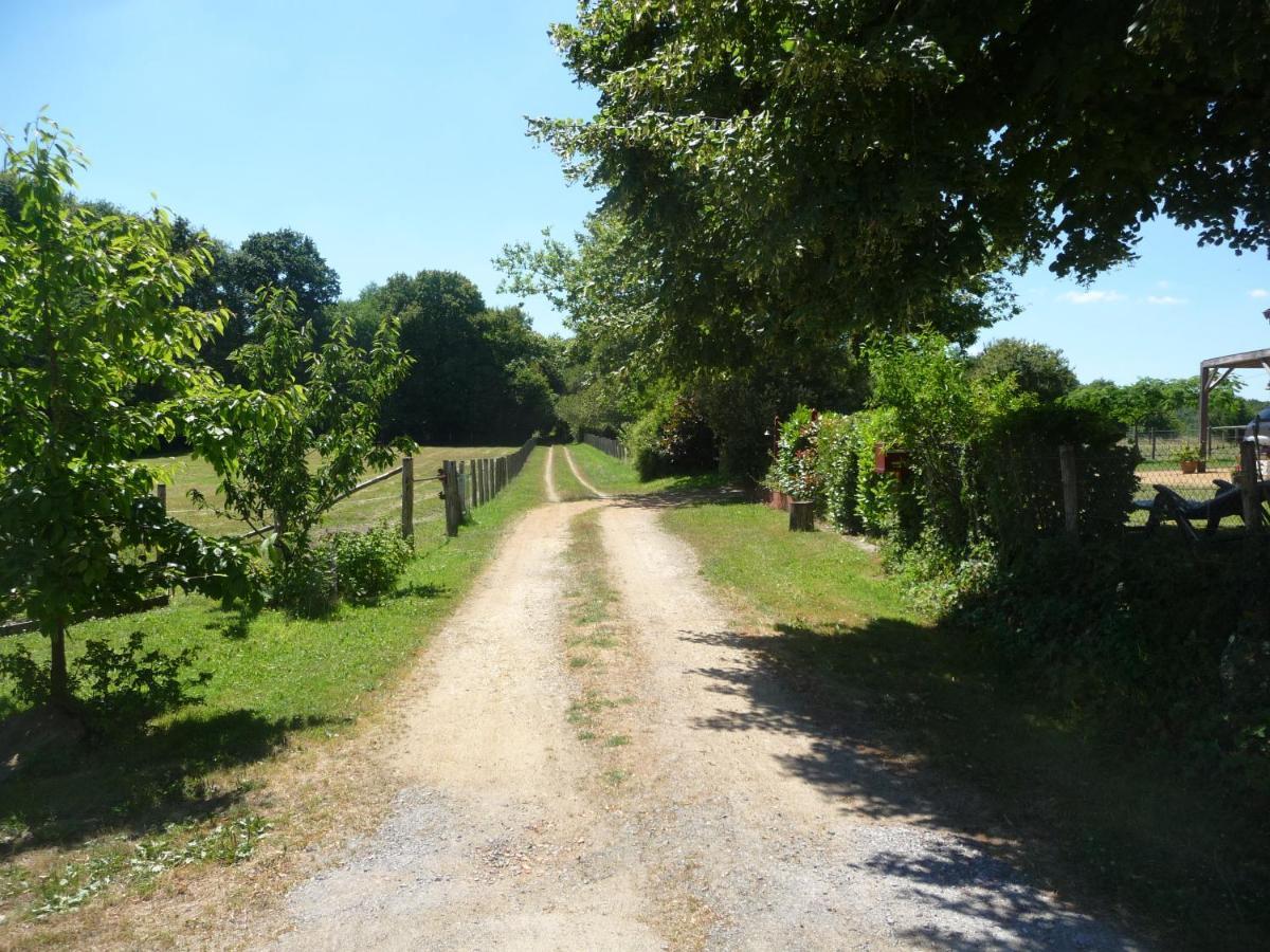 Chambre D'Hote En Vallee Du Loir - Elevage Des Rosiers Bazouges-sur-le-Loir Exteriör bild